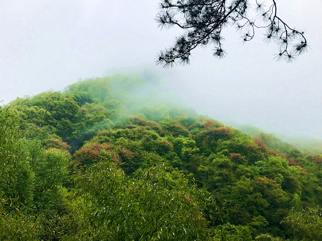 微信圖片_20210427100152.jpg 微信圖片_20210427100152.jpg