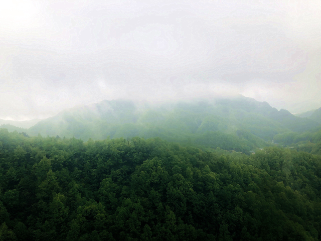 微信圖片_20210427104033.jpg 微信圖片_20210427104033.jpg